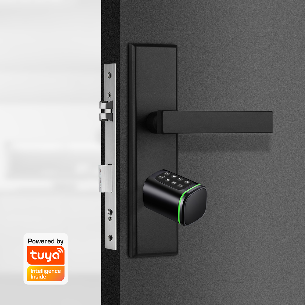Smart Cylinder Lock Tuya 60-90 - đánh giá và giá Home Security Tips